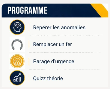 Stage de maréchalerie d’urgence pour propriétaires